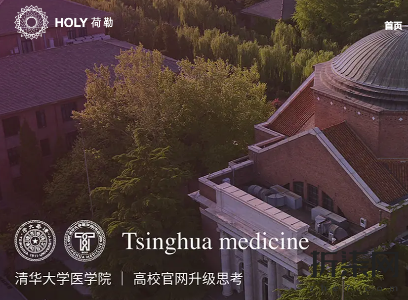 网站设计公司-高端网站建设-UI设计公司-HOLY荷勒设计